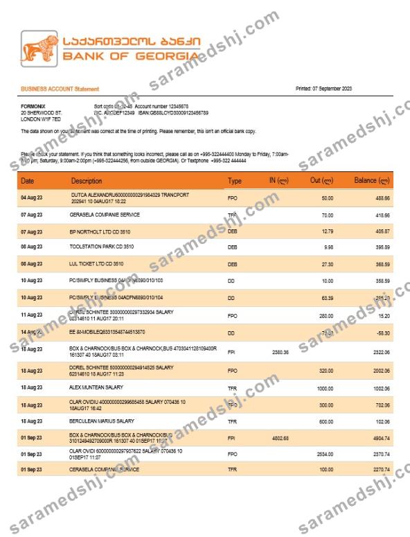 Bank of Georgia business checking account statement Word and PDF templat
